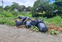 Araruama é a nossa casa: por que o descarte irregular nos afeta mais do que parece